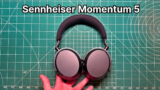 Sennheiser Momentum 5 Review: The Audiophile Perspective